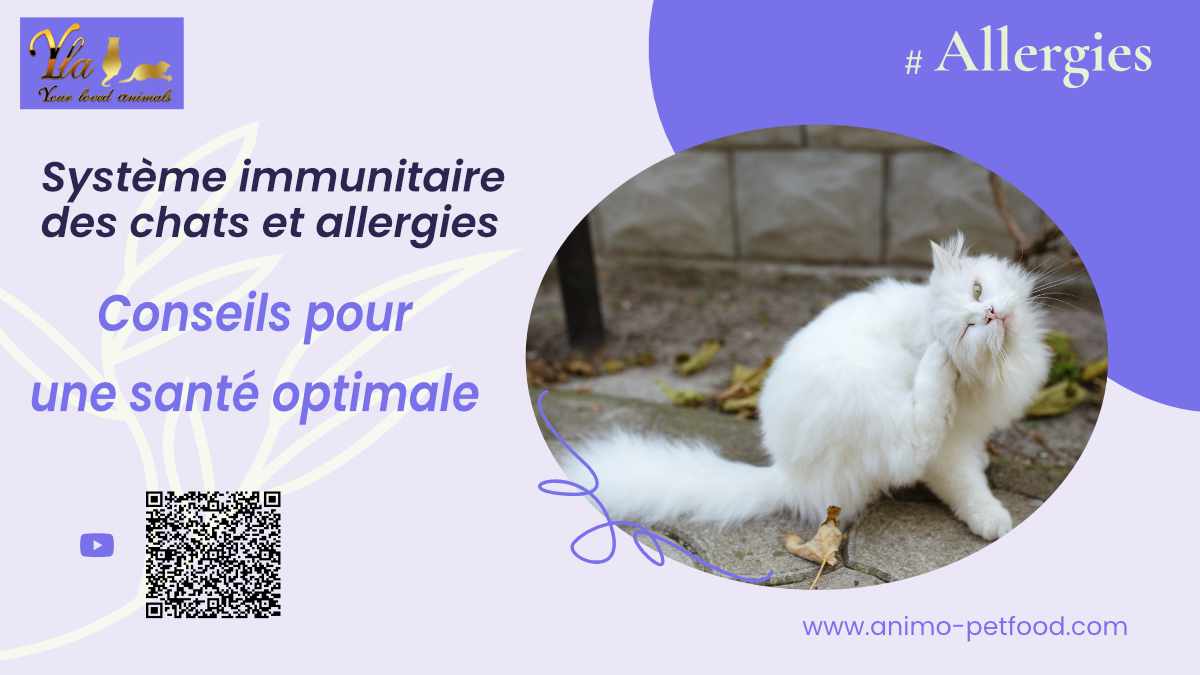 systeme-immunitaire-des-chats-et-allergies